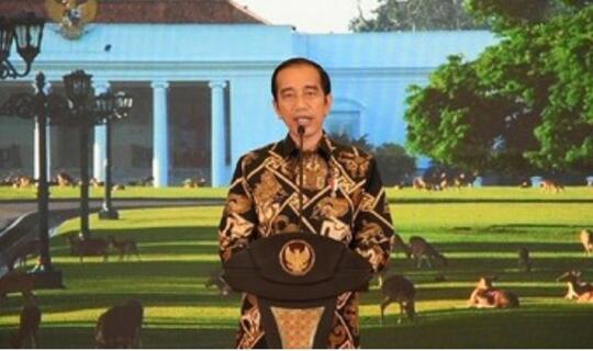 Jokowi: Mini Lockdown Lebih Efektif dari PSBB