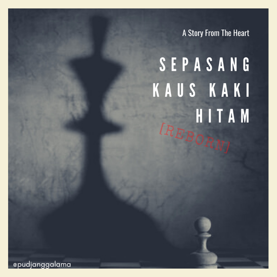 SK2H Reborn: The Untold Story