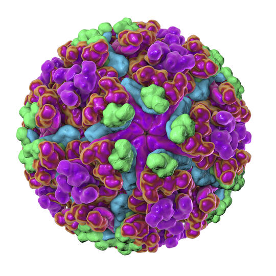 Waduh! 2 Virus yang Diprediksi akan Merebak Setelah Corona