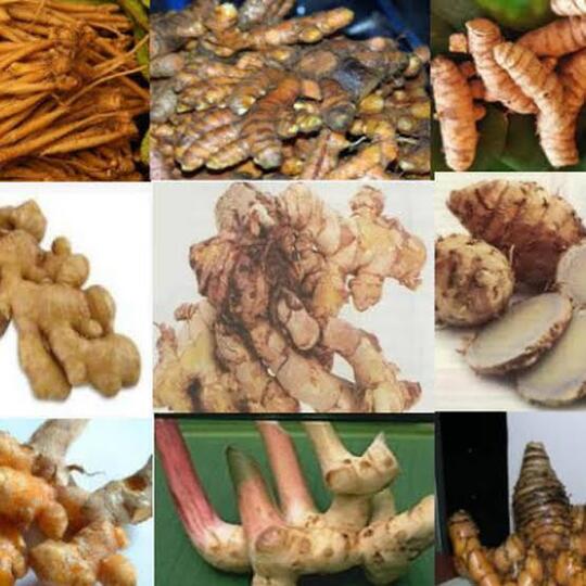 5 Tanaman Rempah Rempah Yang Harganya Naik Drastis Nomor 4 Bikin Ternganga Kaskus