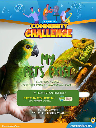 Community Challenge Edisi Pets Part 2, Ikutan Lagi Dong!!