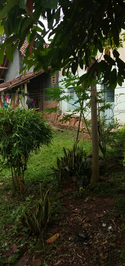 Misteri Patahan Lidi Berserakan dan Sosok Wanita Berambut Menjuntai di Rumah Kosong