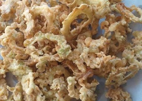 Menanam Si Pahit Yang Dapat Meningkatkan Napsu Makan, Masih Banyak Manfaat Lainnya