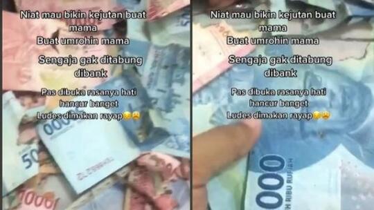 Viral Uang Tabungan Rp 50 Juta Dimakan Rayap, Rencana untuk Umroh Sang Ibunda