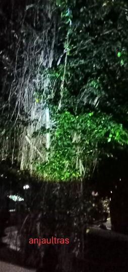 Kisah Nyata: Menelusuri Makam Keramat di Malam Hari, Merinding Gaes!