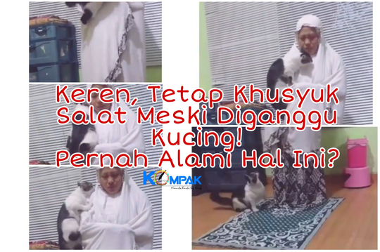 Kucing Gak Ada Akhlak, Mengganggu Orang Shalat! Ekspresi Ibu Ini Tuai Pujian