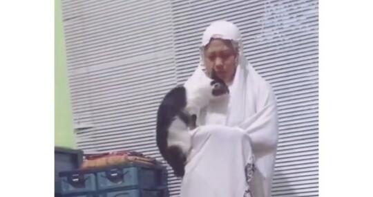 Kucing Gak Ada Akhlak, Mengganggu Orang Shalat! Ekspresi Ibu Ini Tuai Pujian
