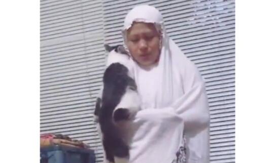 Kucing Gak Ada Akhlak, Mengganggu Orang Shalat! Ekspresi Ibu Ini Tuai Pujian