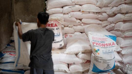 Realisasi Penyaluran Pupuk Bersubsidi Capai 72,03 Persen