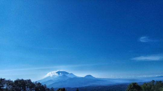 Bisikan Alam