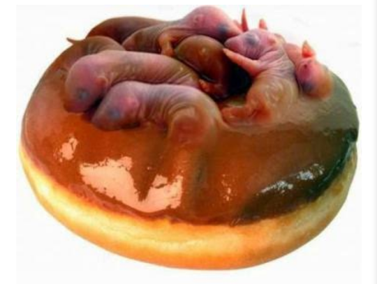 Jangan Baca Saat Makan! Inilah 5 Makanan Paling Tidak Manusiawi!