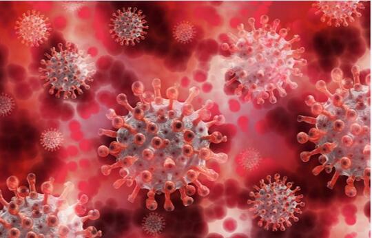Cara Cerdas Sistem Imunitas Tubuh Berperang Melawan Virus Corona