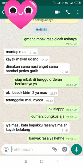 Kuliner ekstrem!!! Cicak Goreng Gurih !!!