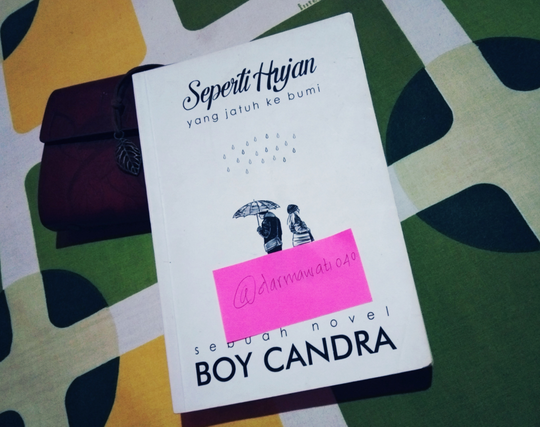 Review Buku Seperti Hujan yang Jatuh ke Bumi, Usaha Melupakan dan Diam-diam Suka