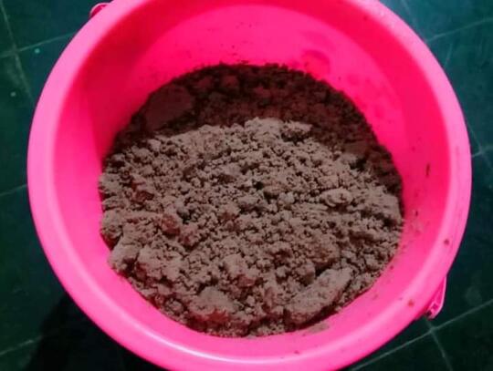 Beberapa Tanaman Yang Menjadi Bahan Baku Olahan Dage Lezat, Nomor 4 Paling Unik!