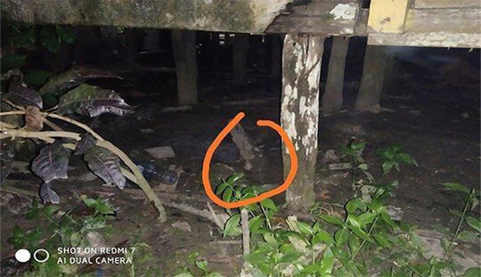 Kasus Anak Hilang di Langkat Masih Jadi Seribu Tanda Tanya