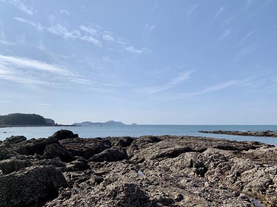 Taean, Wilayah Pesisir Korea Selatan yang Layak untuk Dikunjungi