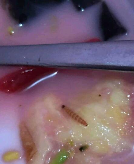 Gan, Selapar Apapun Perut Jangan Langsung Embat Aja Makanan, Atau Kayak Gini Jadinya!