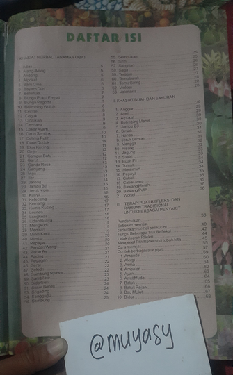 (COC)Review Buku Penyembuhan Alami Dengan Herbal Dan Pijat Refleksi