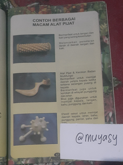 (COC)Review Buku Penyembuhan Alami Dengan Herbal Dan Pijat Refleksi