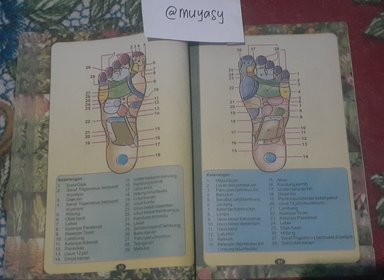 (COC)Review Buku Penyembuhan Alami Dengan Herbal Dan Pijat Refleksi