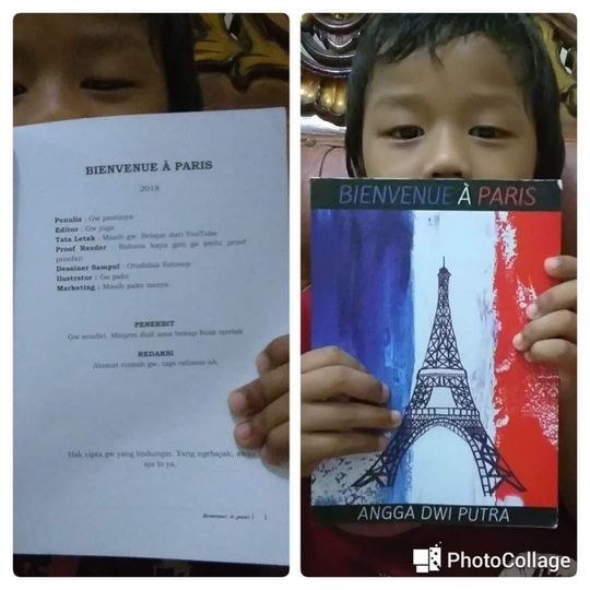 Review Buku Kisah Perjuangan Mencari Beasiswa, BIENVENUE A PARIS