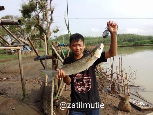Nikmati Eksotisme Pantai Tipar Cianjur Selatan Yang Masih Perawan, Komplit Banget!