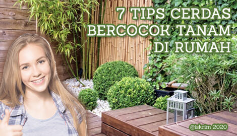 Tips Cerdas Membangun Taman Di Rumah Saja, Perhatikan Ini Dulu!