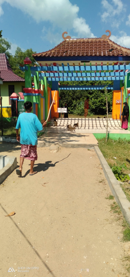 Hutan Kera Nepa, Menikmati Keindahan Pantai dan Sejuknya Hutan Dalam Satu Tempat!