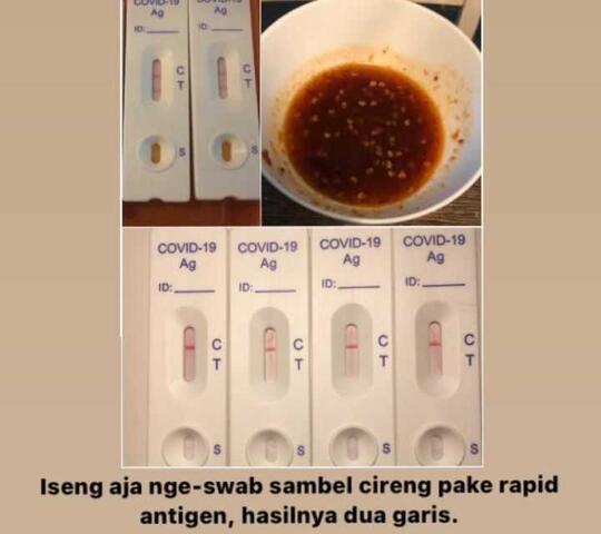 Kenapa Sambal Cireng Rina Nose Positif Covid-19? Ini Kata Peneliti Kimia