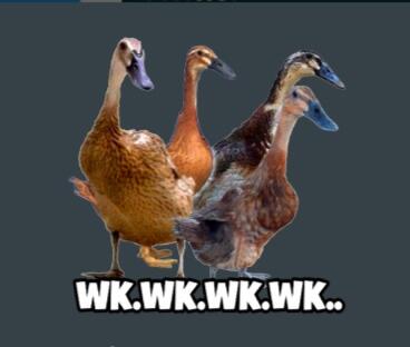 Kenapa Kalau Nulis Tertawa di Chat dengan Wkwkwk? Ini Penjelasannya!