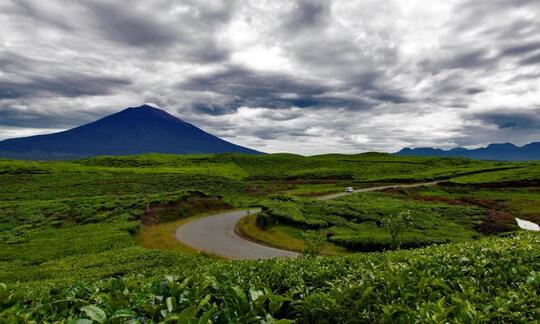 JALAN - JALAN KE JAMBI? BERIKUT 5 TEMPAT WISATA RECOMMENDED DI JAMBI