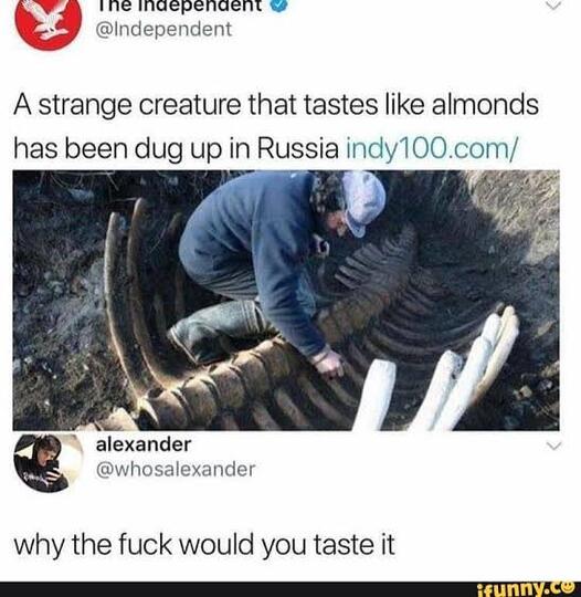 Foto Penampakan 'SAPI LAUT STELLER' Raksasa Di Rusia, Yang Rasanya Mirip ALMOND !