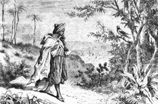 The History of Coffee