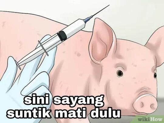 Biar Ditodong Dengan Pistol, Saya Tidak Mau Divaksin Gunakan Sinovac!