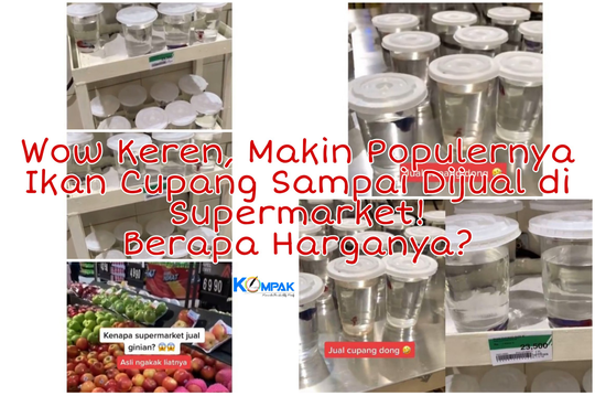 Wow Keren, Makin Populernya Ikan Cupang Sampai Dijual di Supermarket! Serius?