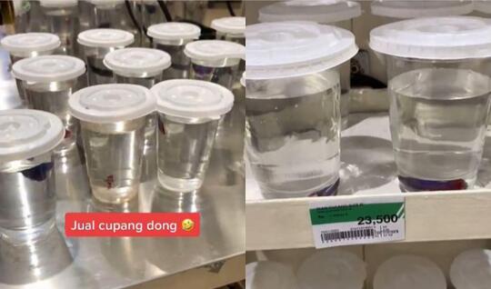 Wow Keren, Makin Populernya Ikan Cupang Sampai Dijual di Supermarket! Serius?