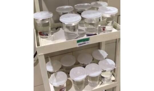 Wow Keren, Makin Populernya Ikan Cupang Sampai Dijual di Supermarket! Serius?