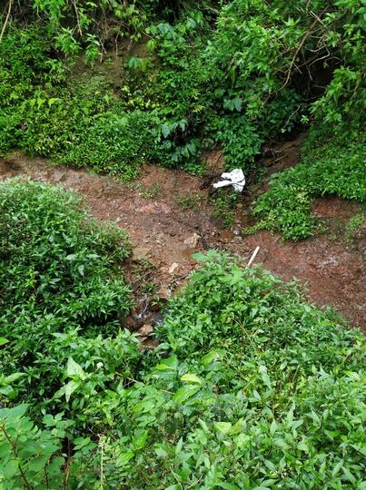 PERMATA INDAH YANG TERSEMBUNYI ! CATPER GUNUNG SETLEREP VIA GEJUGAN 12 JANUARI 2021