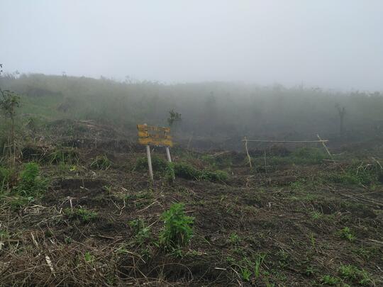 PERMATA INDAH YANG TERSEMBUNYI ! CATPER GUNUNG SETLEREP VIA GEJUGAN 12 JANUARI 2021