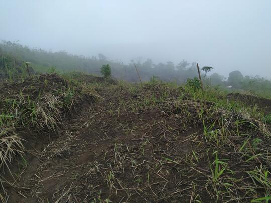 PERMATA INDAH YANG TERSEMBUNYI ! CATPER GUNUNG SETLEREP VIA GEJUGAN 12 JANUARI 2021