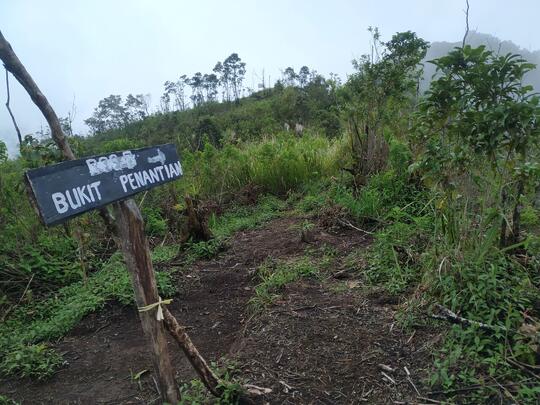 PERMATA INDAH YANG TERSEMBUNYI ! CATPER GUNUNG SETLEREP VIA GEJUGAN 12 JANUARI 2021