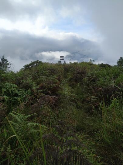 PERMATA INDAH YANG TERSEMBUNYI ! CATPER GUNUNG SETLEREP VIA GEJUGAN 12 JANUARI 2021