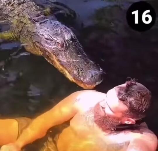 Akibat Sok Akrab dengan Buaya, Pria Ini Hampir Dilahapnya! Ngeri Banget Gan