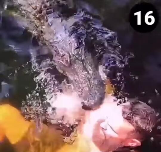 Akibat Sok Akrab dengan Buaya, Pria Ini Hampir Dilahapnya! Ngeri Banget Gan