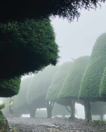Bukit Jamur Ciwidey, Bandung. Tempat Wisata Murah Dan Bikin Betah
