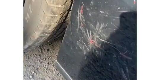 Gak Ada Akhlak, Seekor Ayam Tarung dengan Bayangan Sendiri di Mobil Mewah! Hancur