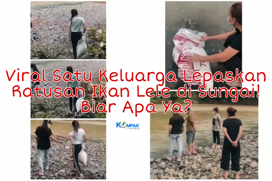 Viral Satu Keluarga Lepaskan Dua Karung Besar Berisi Ikan Lele Ke Sungai! Biar Apa?