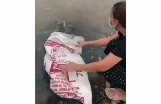 Viral Satu Keluarga Lepaskan Dua Karung Besar Berisi Ikan Lele Ke Sungai! Biar Apa?