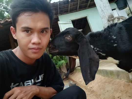 Bersahabat dengan Anak Kambing? Kenalin, Debleng Sahabat Sejati Masnukho!